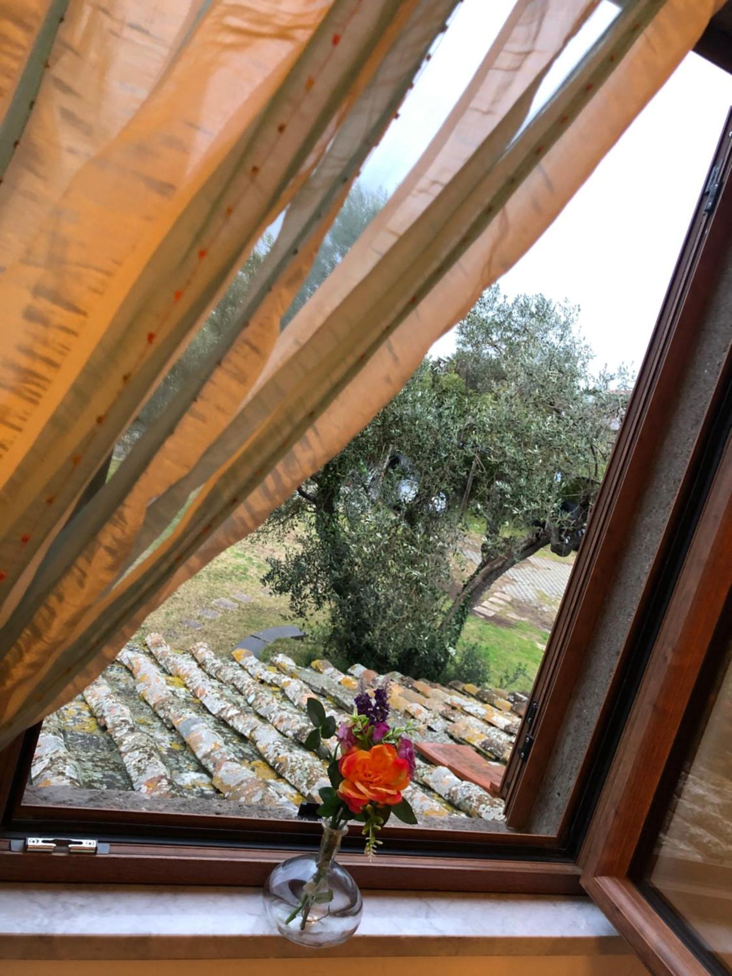 Bed and Breakfast La Finestra Di Umberto Vicino Al Centro Con Parcheggio Privato Viterbo Zewnętrze zdjęcie